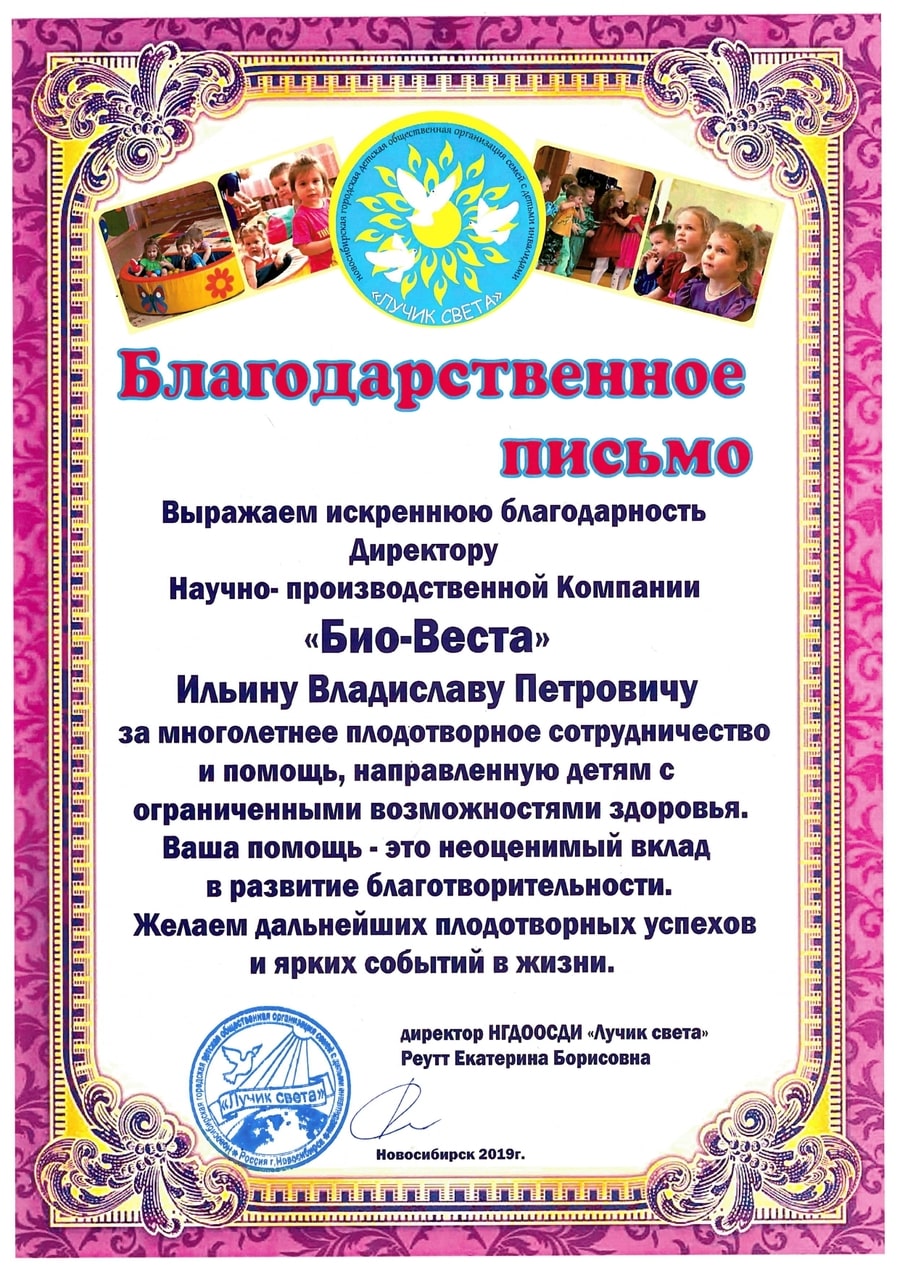Новосибирская благотворительноая общественная организация «Лучик света» 